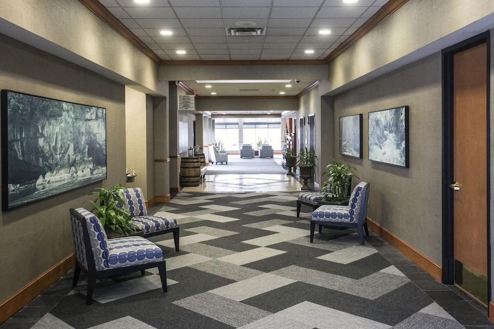 Hilton Garden Airport Hotel Louisville